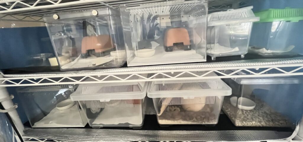 ヒーターを置き換えた後のラック