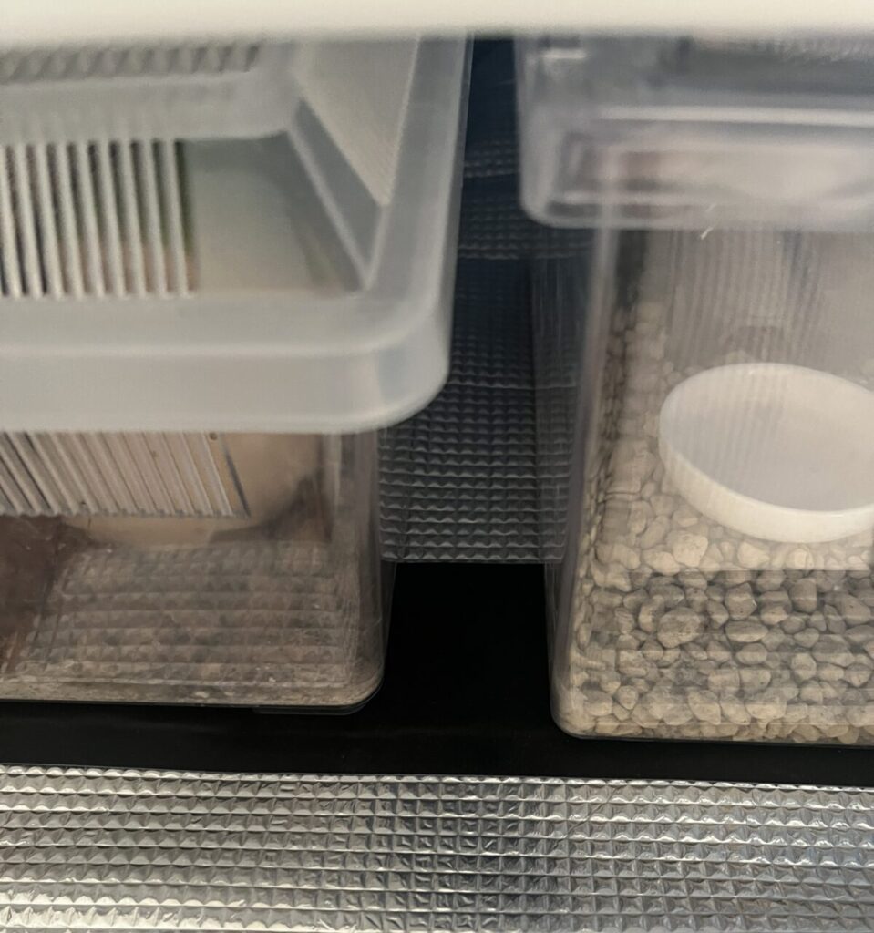 ナラベルトのフラットさ