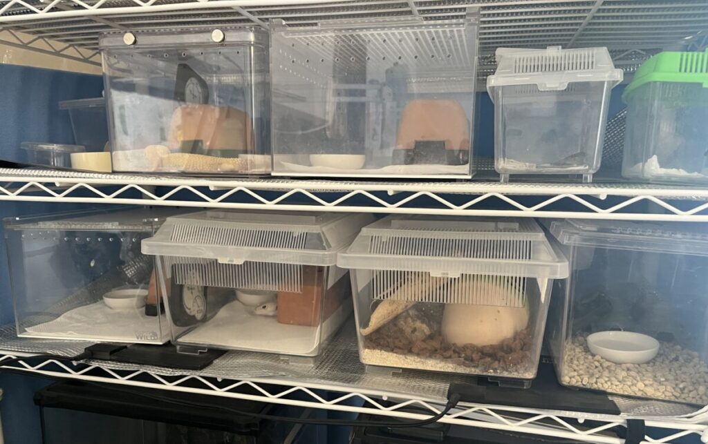 ヒーターを置き換える前のラック